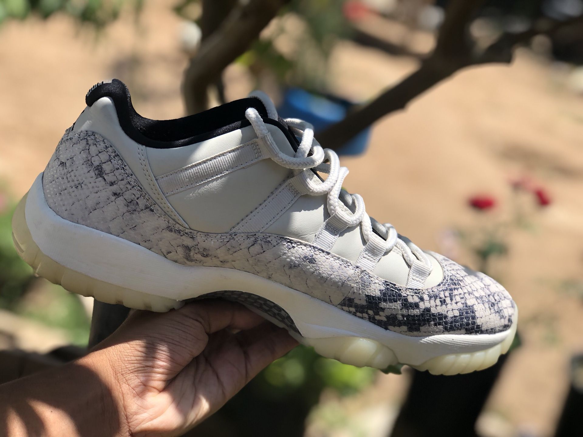 Snake Light Jordan 11 Low Snakeskin Grey Nike Jordan 11 Low Snake 