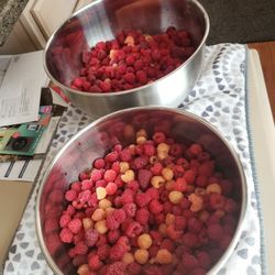 Raspberry From My Garden 