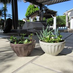 Set Of Brown Pattern & Gray Garden Pots With Succulents