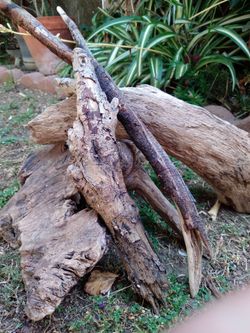 5 pieces natural driftwood for aquariums terrariums decor