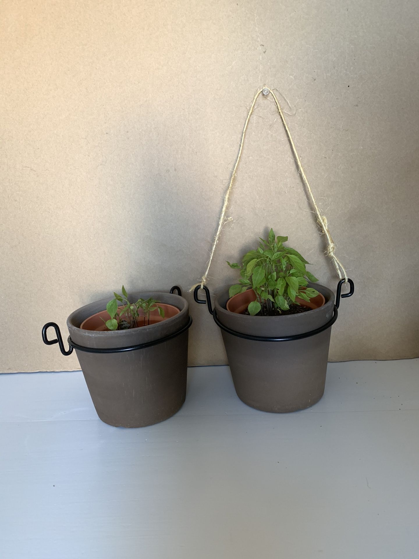 flower pot and hanging shelf