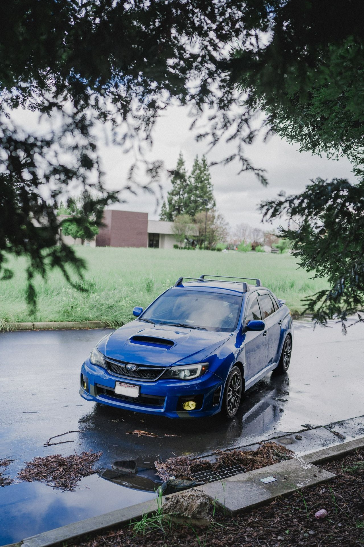 2012 Subaru WRX