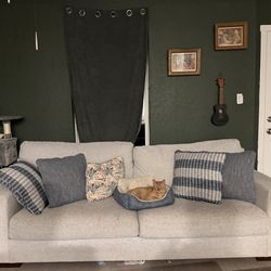 Ashely Home Sofa