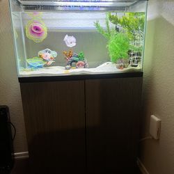 29gal Aquarium + Stand -FULL SET UP EVERYTHING INCLUDED