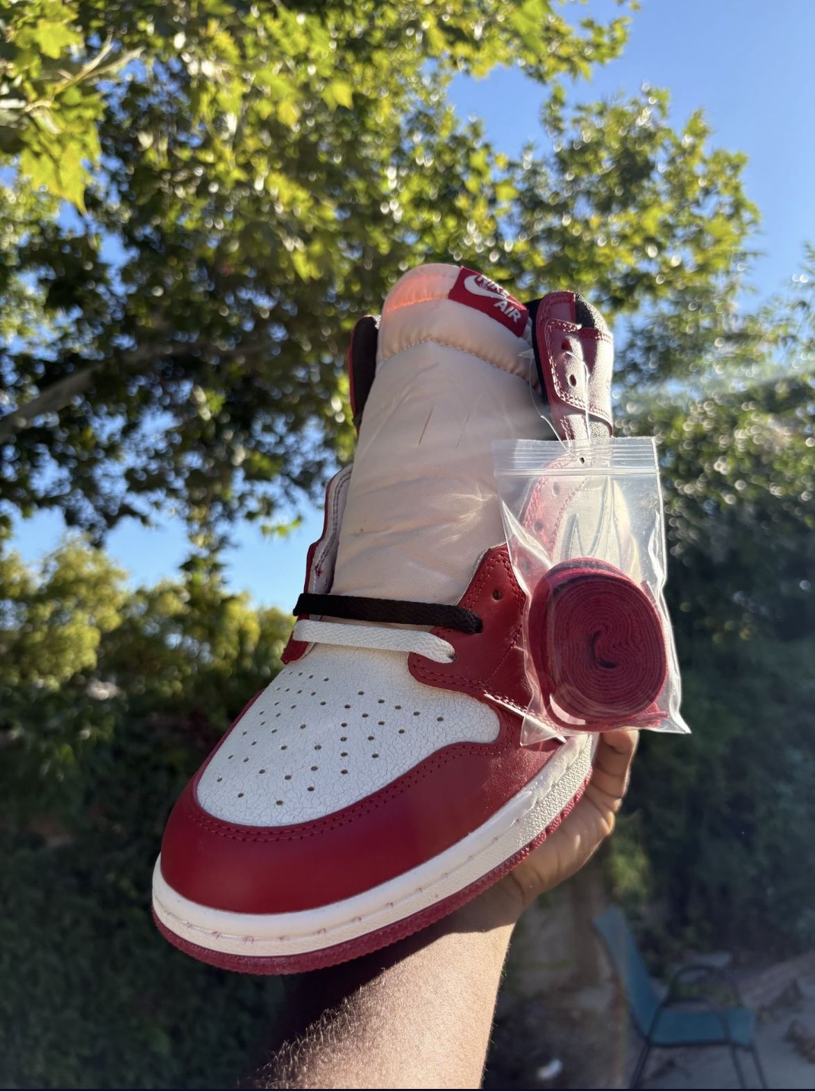 Air Jordan 1 Retro High OG “Lost and Found” – Size 12