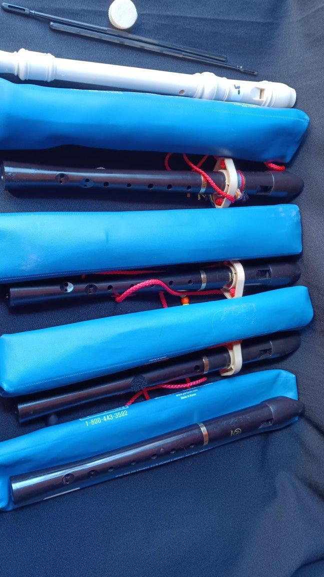 5 Recorder Flute Read Description