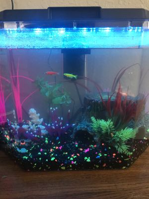 New And Used Fish Tank Decorations For Sale In Lubbock Tx Offerup