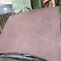 1979 Chevy Malibu Hood 