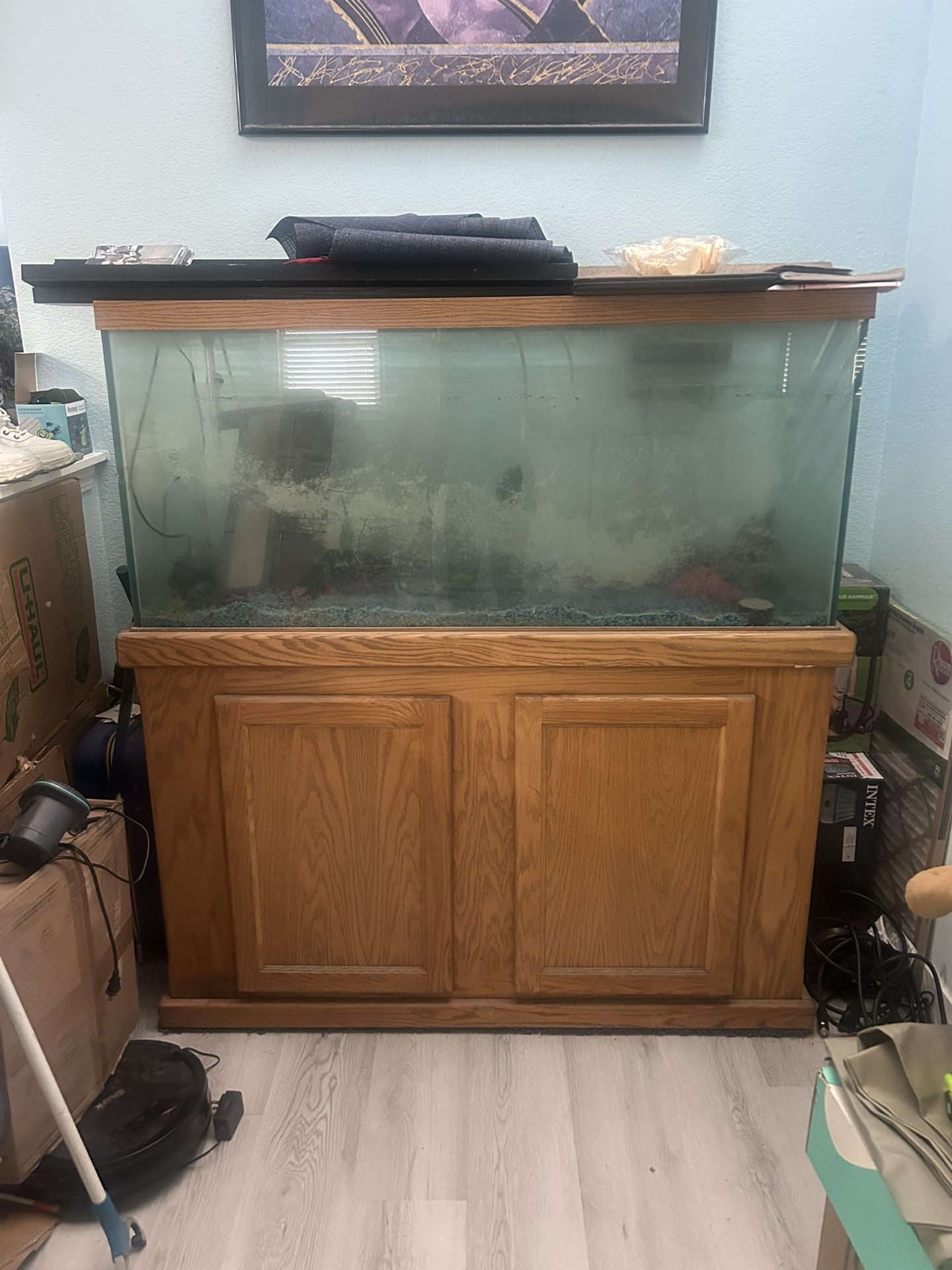 80 Gallon Fish Tank