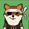 ShibaShiba