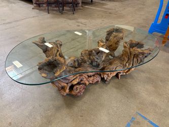 Organic Modern Burl Root Wood Base Coffee Table with Asymetrical Glass Top