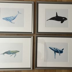 Whale Framed Artwork