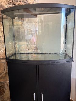 36 gallon tank with stand