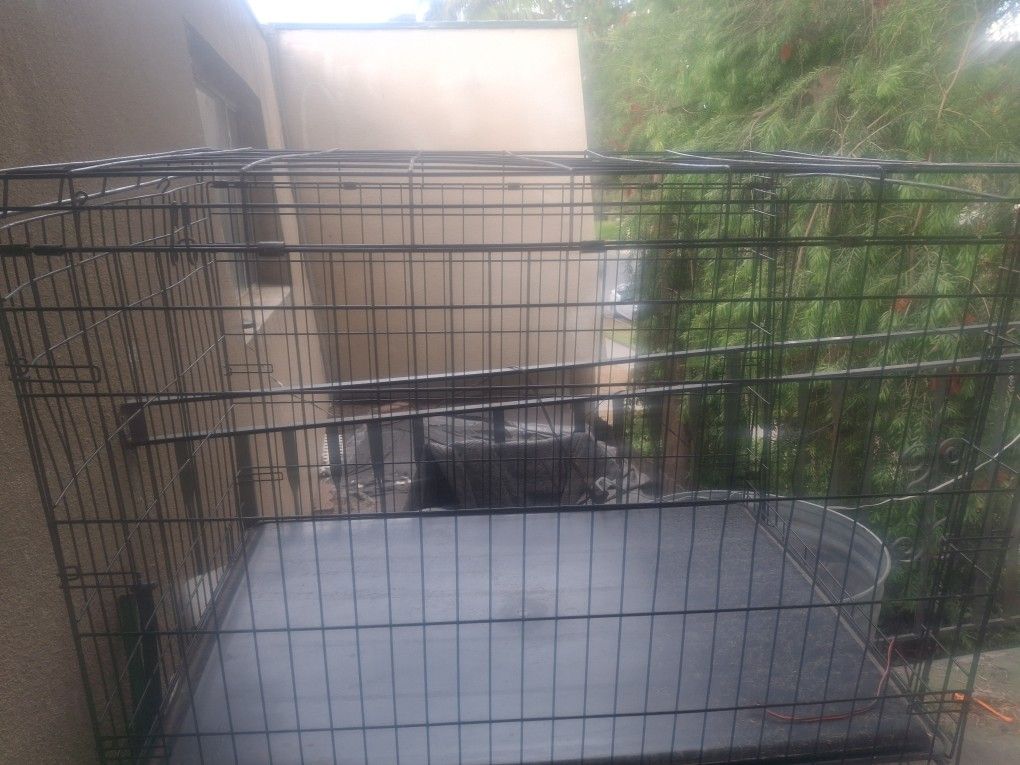 Dog Cage