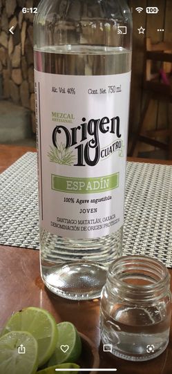Agave , Espadin