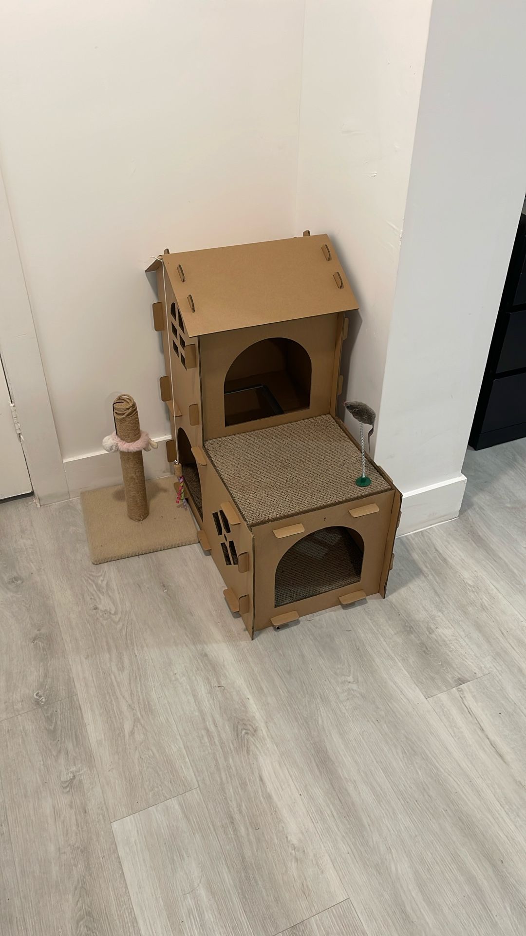 Cardboard Cat House And Scratching Post