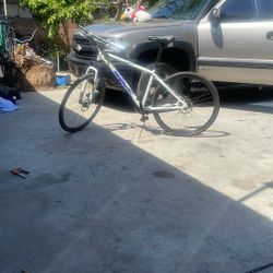 Mongoose bike