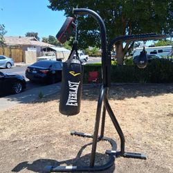 Everlast Gym Set  