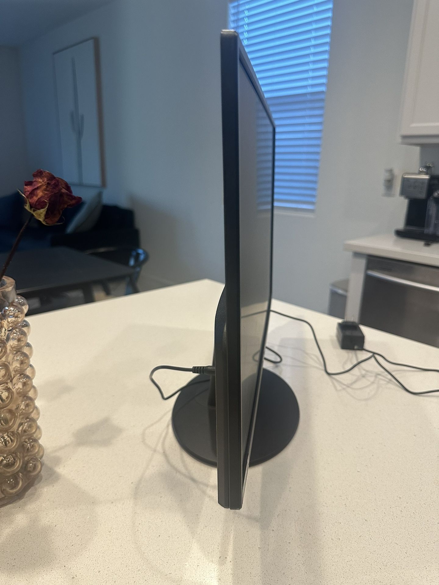 Sceptre Computer Monitor