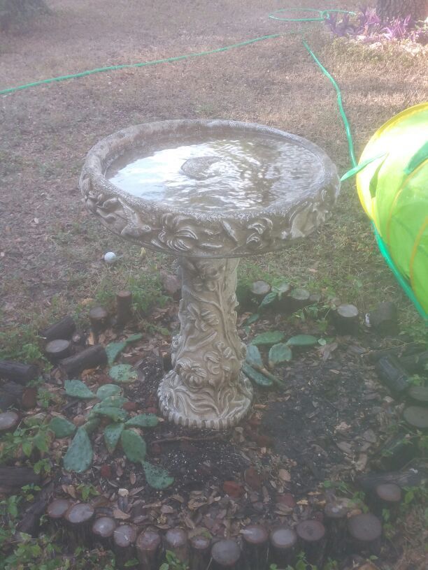 Bird bath