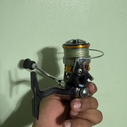 Daiwa Regal LT2500