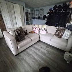 Sectional Couch