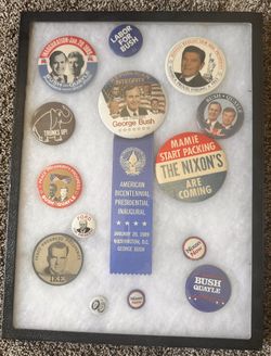 Political Pins