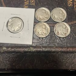 Buffalo Nickels