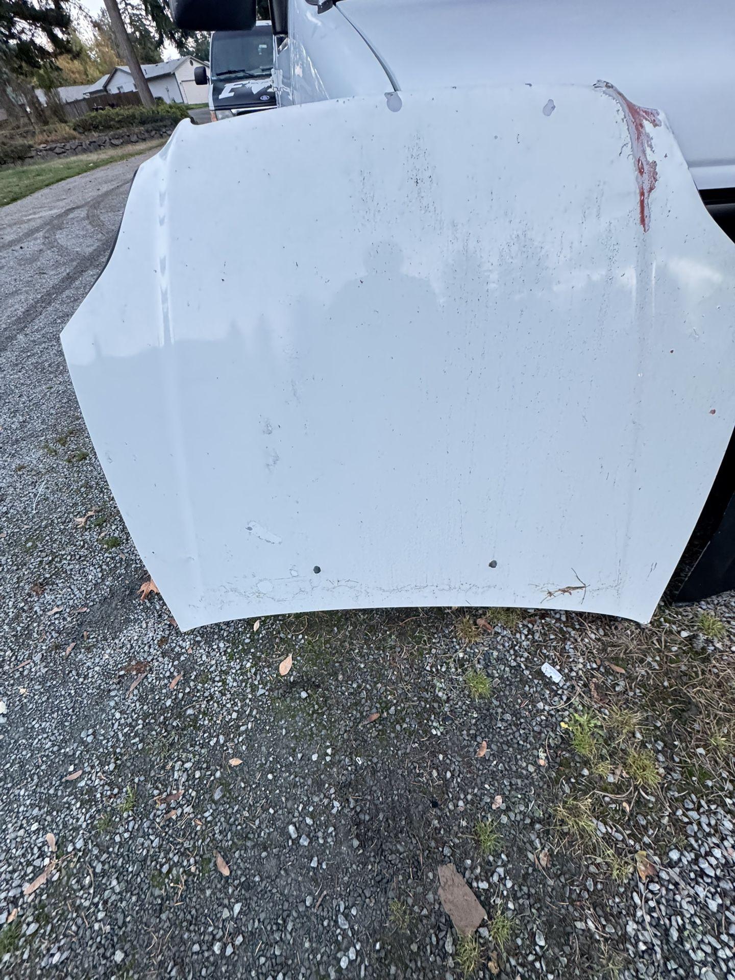Hood for Honda Civic 96-00