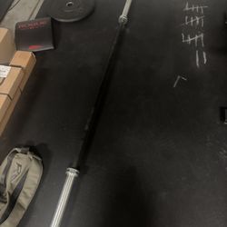 Rogue Barbell 