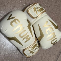 Venum Boxing Gloves