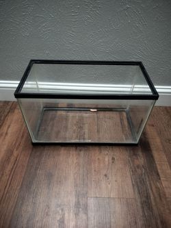 10 gallon aquarium