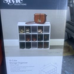 Style Selections 15-Cube Storage Organizer
