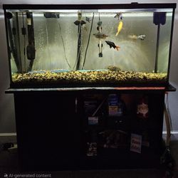 55 Gallon Fish Tank/Stand