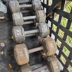 Weight Dumbbells 