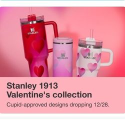 Target Exclusive Valentine's Day Stanley Tumblers 