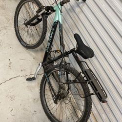 Bicycle $100