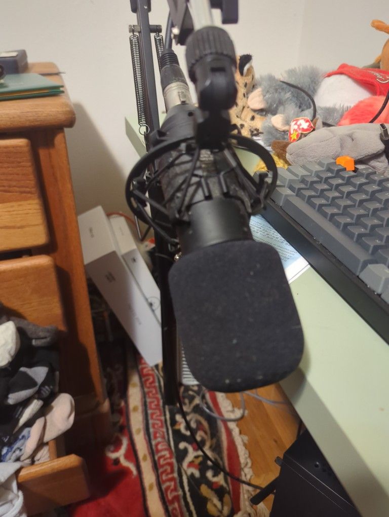 Microphone