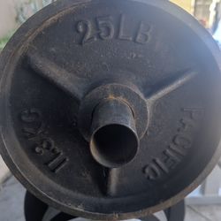 25lb Weight Plates