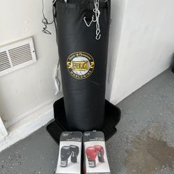Punching Bag And Boxing Gloves 