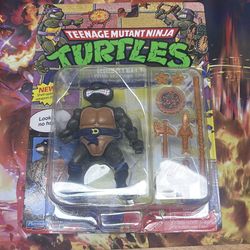 Teenage mutant ninja turtles