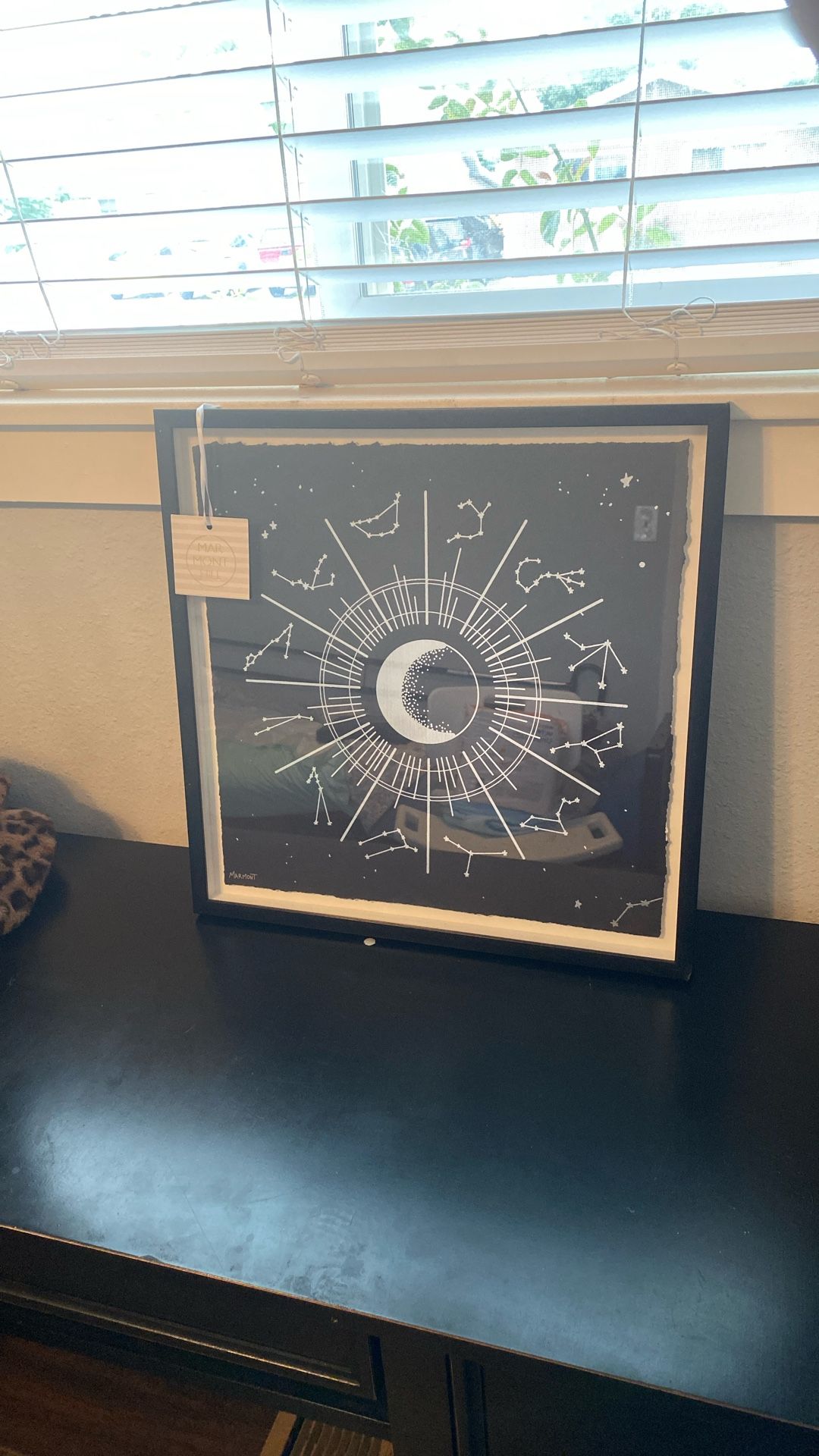 A Zodiac Constellation Portrait