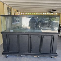 125 Gal Fish Tank