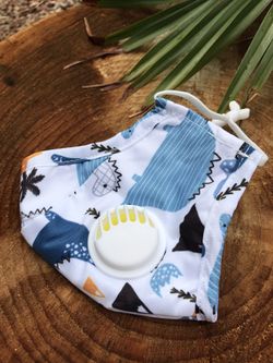 2 for $7 kids face masks with valve