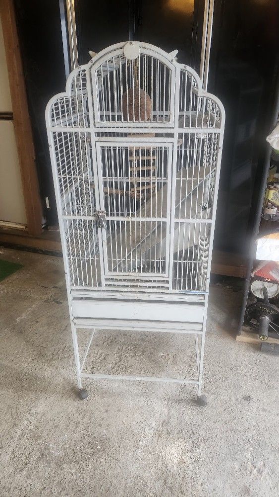 Bird Cage 