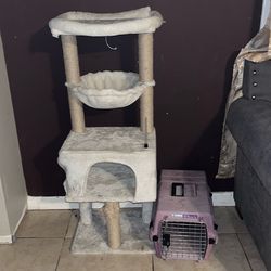 Cat post and cage