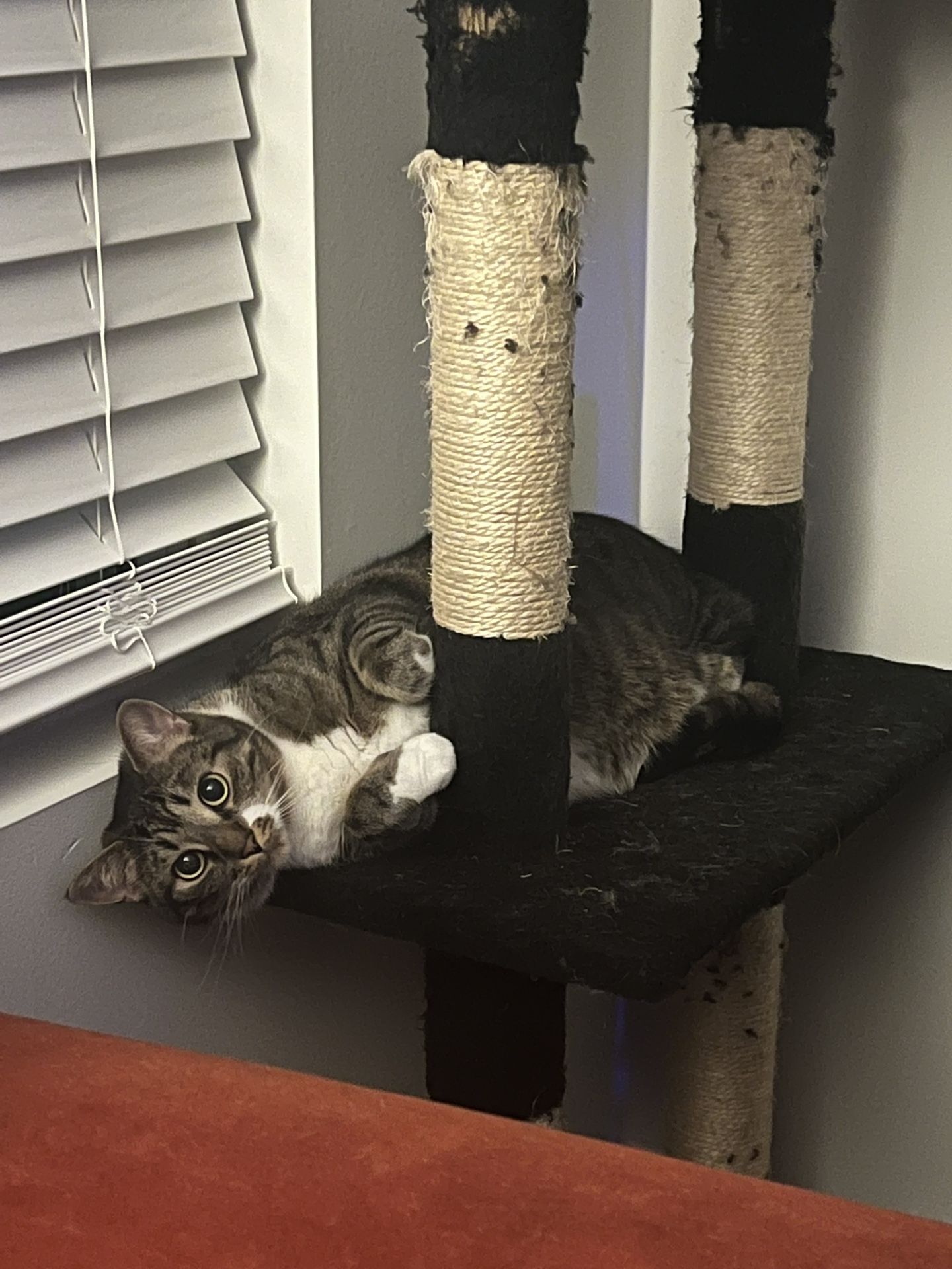 Hand Painted Cornucopia & Candy Jar