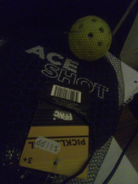 Ace Shot Pickle Ball