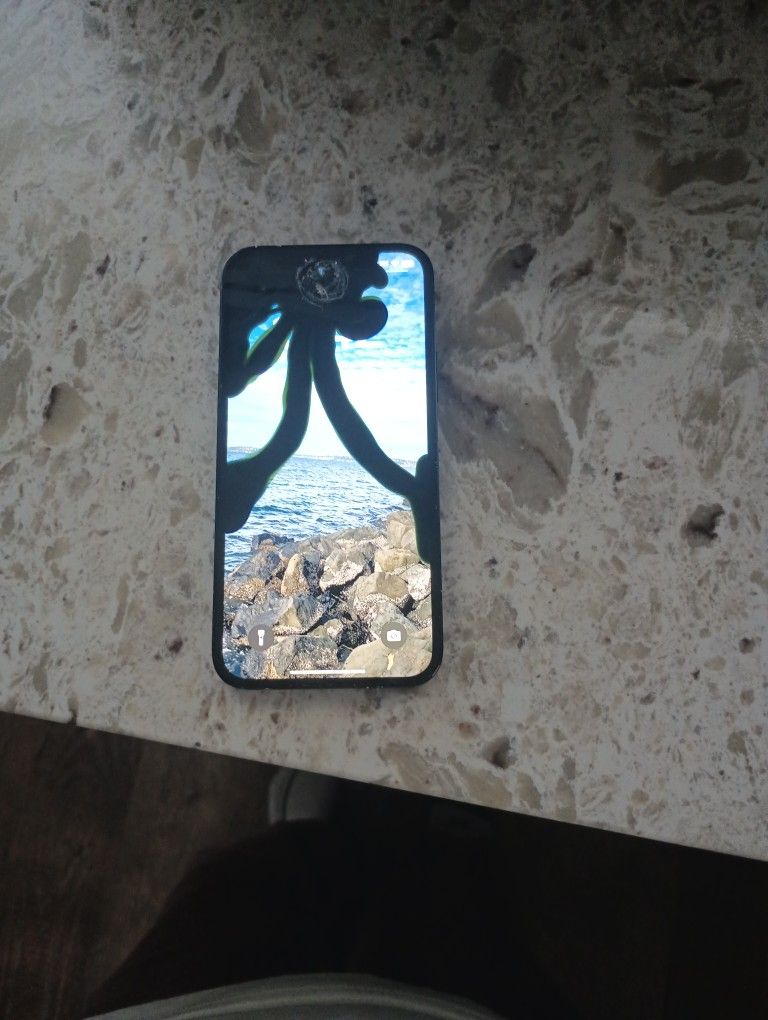 iPhone 12 (Locked And Broken)
