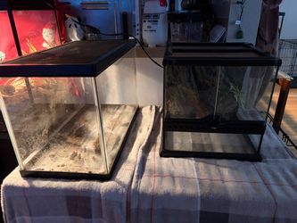 Glass Reptile Terrariums 20 gal and 12x12x12